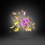 Xerjoff Opera - Eau De Parfum - Afbeelding 3