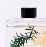 UITGESTREKT GRASLAND VOL ZONNESTRALEN - Afbeelding 2