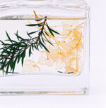 UITGESTREKT GRASLAND VOL ZONNESTRALEN - Afbeelding 3