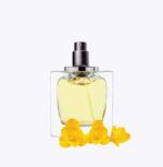 HEMELSE SCHEMERINGSMIST DER DROMEN