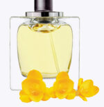 HEMELSE SCHEMERINGSMIST DER DROMEN - Afbeelding 3