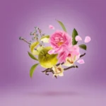 Xerjoff Casamorati LA TOSCA - Eau De Parfum - Afbeelding 3