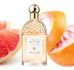Guerlain Aqua Allegoria Pamplelune - Eau de Toilette - Afbeelding 3